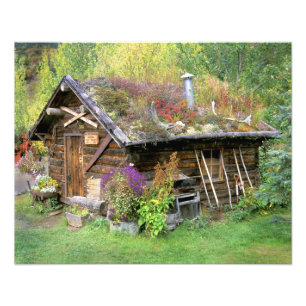 Impression Photo États-Unis, Alaska, Parc national de Denali, Kant
