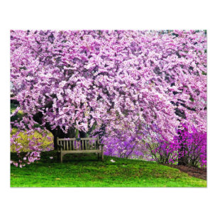 Impression Photo États-Unis, Delaware, Wilmington. Banc en bois sou