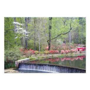 Impression Photo États-Unis, Géorgie, Pine Mountain. Une petite cas
