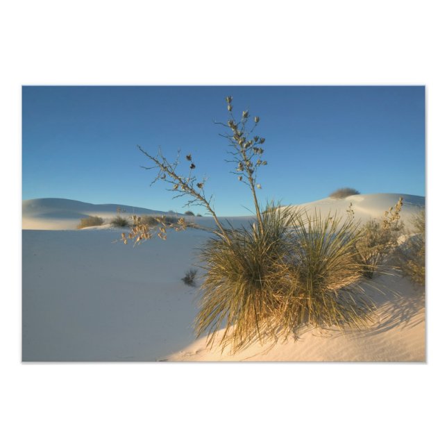 Impression Photo États-Unis, Nouveau-Mexique, White Sands National  (Devant)