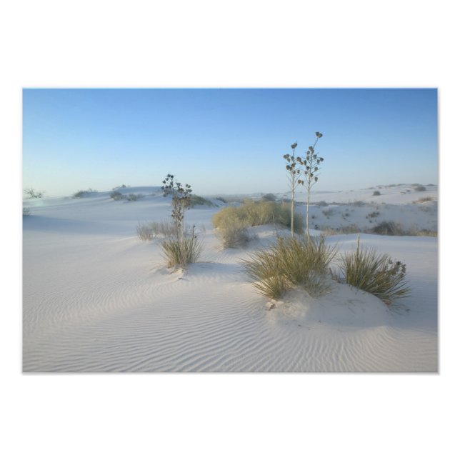 Impression Photo États-Unis, Nouveau-Mexique, White Sands National  (Devant)