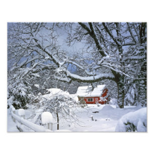 Impression Photo États-Unis, Oregon, comté de Clackamas. Neige fraî