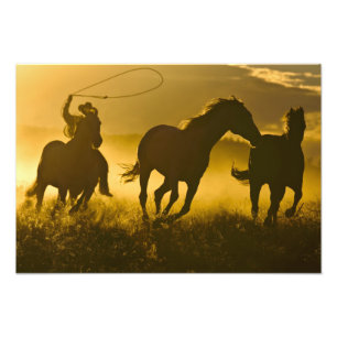 Impression Photo États-Unis, Oregon, Seneca, Ponderosa Ranch.