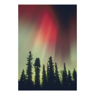 Impression Photo États-Unis, région de Fairbanks, Alaska central,