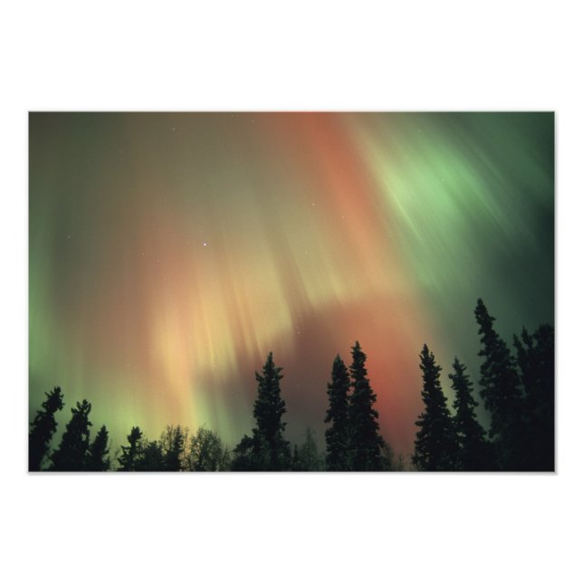 Impression Photo États-Unis, région de Fairbanks, Alaska central, A (Devant)