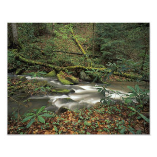 Impression Photo États-Unis, Tennessee. Big South Fork National Riv