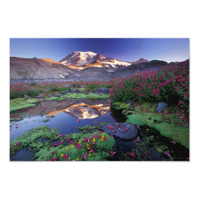 Impression Photo États-Unis, Washington, Mt. Rainier NP, lever du s (Devant)