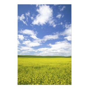 Impression Photo États-Unis, Washington, pays de Palouse, en fleurs