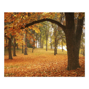 Impression Photo États-Unis, Washington, Spokane, Manito Park, Auto