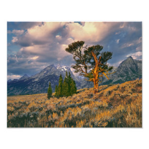 Impression Photo États-Unis, Wyoming, Grand Teton NP. Le lever du s