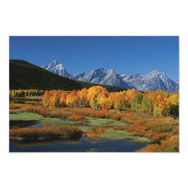 Impression Photo États-Unis, Wyoming, Grand Tetons National Park à (Devant)