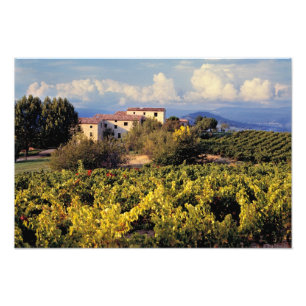 Impression Photo Europe, France, Bonnieux. Les vignobles couvrent l