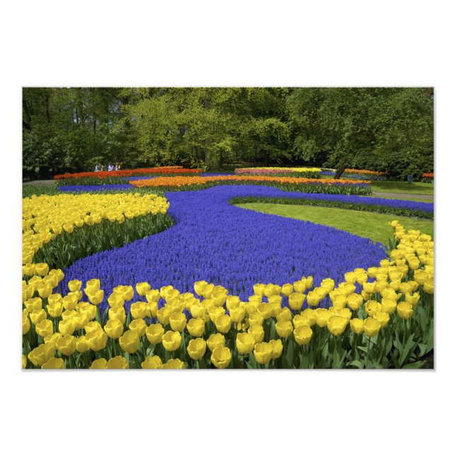 Impression Photo Europe, Pays-Bas, Hollande, Lisse, Keukenhof (Devant)