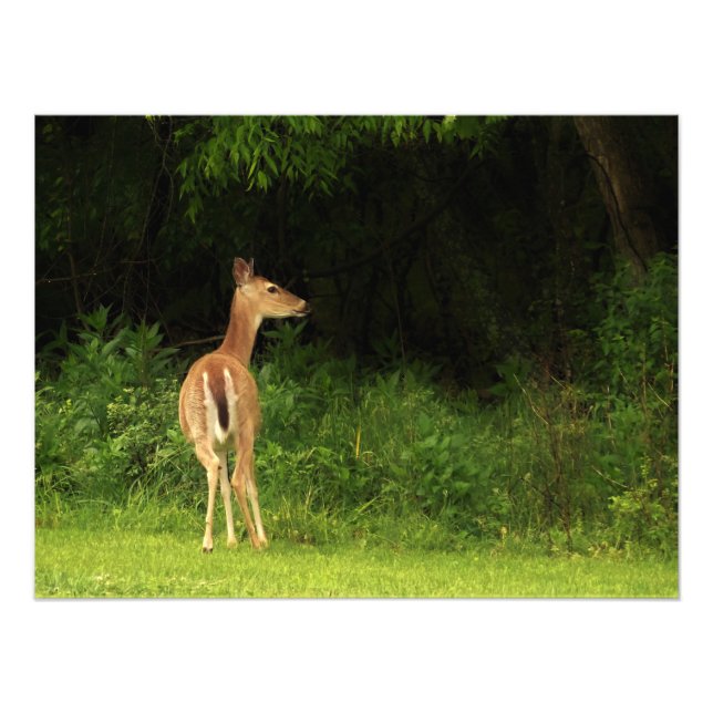 Impression Photo Examen attentif (Devant)