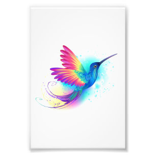 Impression Photo Exotic Rainbow Hummingbird
