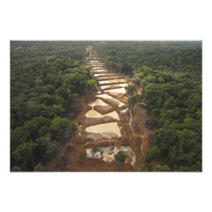 Impression Photo Extraction d'or alluvionnaire. Forêt tropicale, Gu