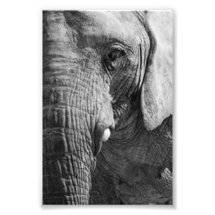 Impression Photo Eye Spy