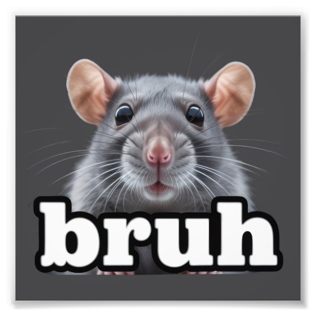 Impression Photo Fancy Rat Rodent Owner Meme Bruh Pet Rat Lover  (Devant)