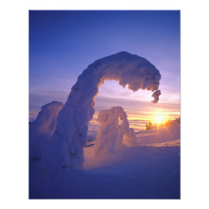 Impression Photo Fantômes de neige dans la chaîne Whitefish du Mont