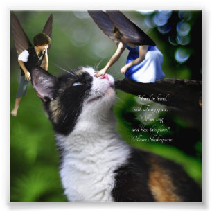 Impression Photo Fées avec Cat William Shakespeare Citation Imprime