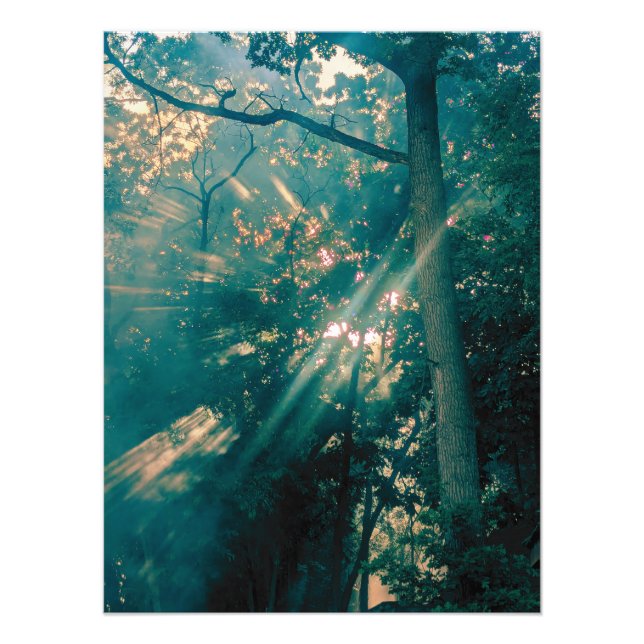 Impression Photo Fées dans la forêt (Devant)