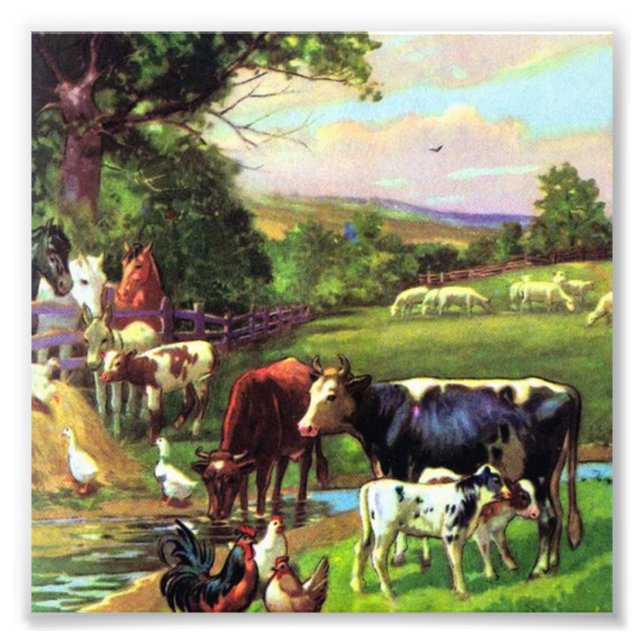 Impression Photo Ferme vintage (Devant)