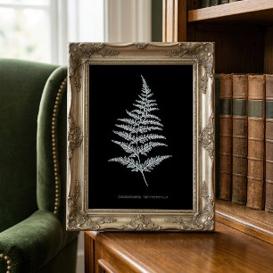 Impression Photo Fern - Gymnogramma Chrysophylla. Effet de rayons X