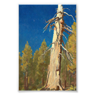 Impression Photo Feuille tombée par Maynard Dixon