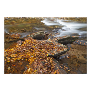 Impression Photo Feuilles d'automne le long du ruisseau Look Glass 