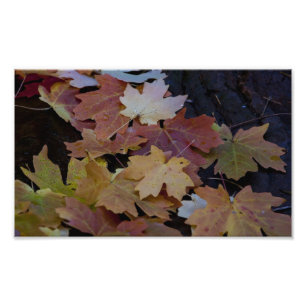 Impression Photo feuilles d'automne tout autour