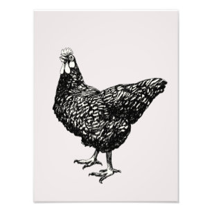 Impression Photo Fière petite poule !