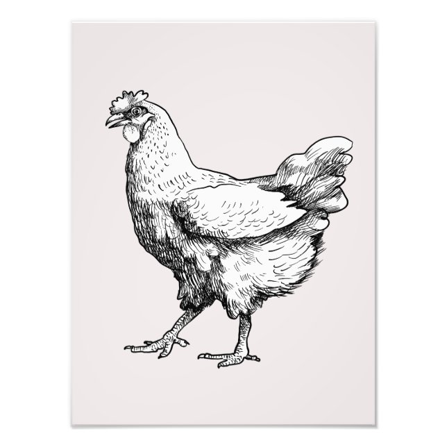 Impression Photo Fière petite poule ! (Devant)