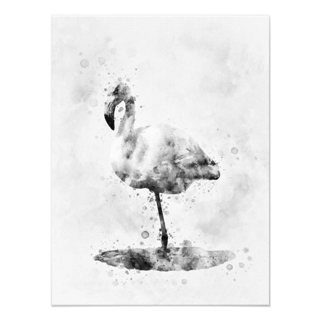 Impression Photo Flamant rose Aquarelle noir et blanc 01 (Devant)