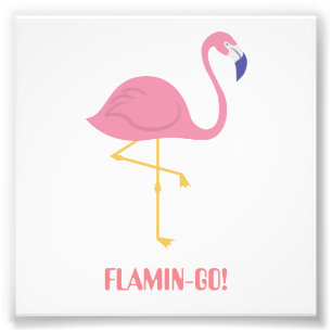 Impression Photo Flamant rose (flamant !)