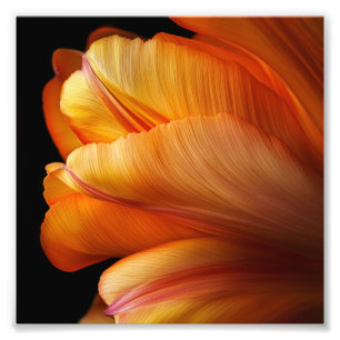 Impression Photo Flamme de grâce - Tulipe d'or en fleur