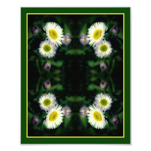 Impression Photo Fleabane sauvage Fleur marguerite Abstraite 8x10