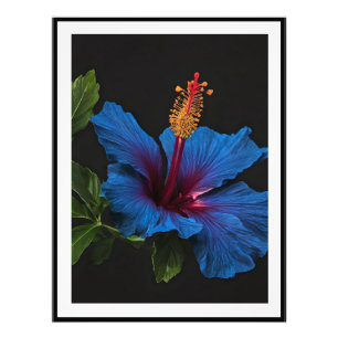 Impression Photo "Fleur Bleue Sérénité : La Beauté des Fleurs d'Hib