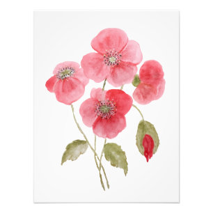 Impression Photo Fleur de pavot à l'aquarelle
