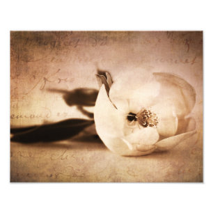 Impression Photo Fleur florale de sépia de fleur vintage de