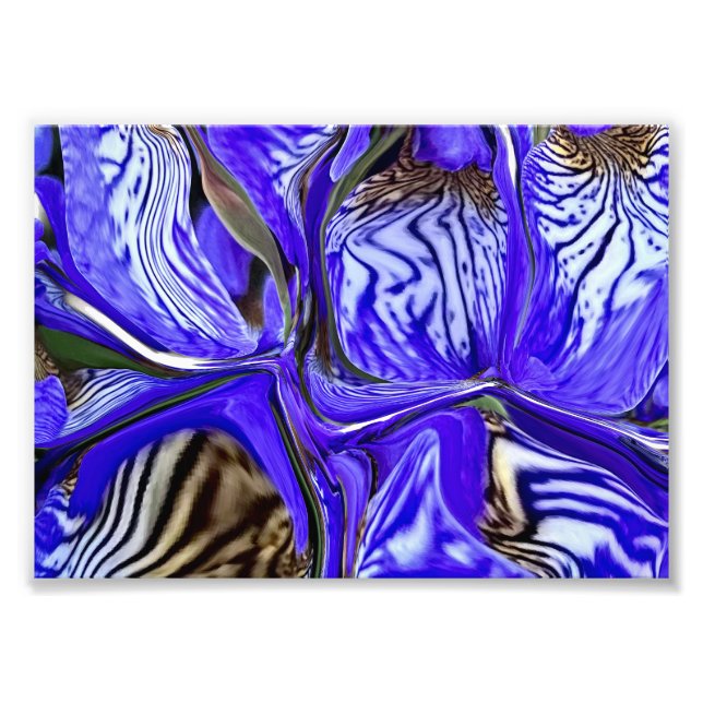 Impression Photo Fleur Iris Violet (Devant)