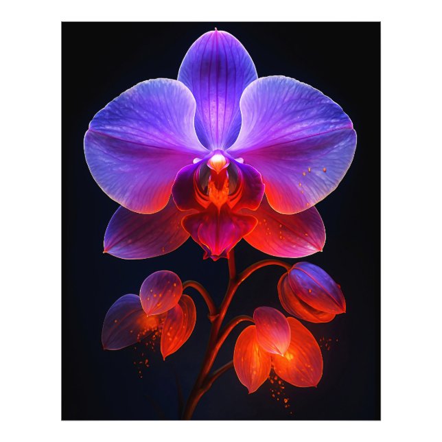 Impression Photo Fleur orchidée dans la lumière (Devant)