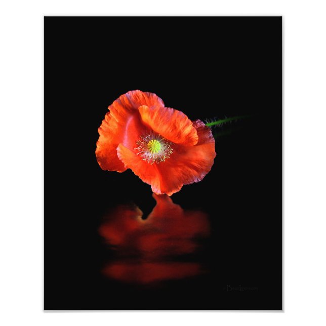 Impression Photo Fleur Rouge (Devant)