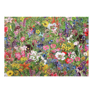 Impression Photo Fleur sauvage de la nature en fleurs botaniques