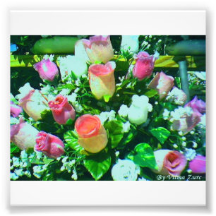 Impression Photo Fleurs