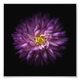 Impression Photo Fleurs 20