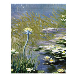 Impression Photo Fleurs d'Agapanthus luxuriantes à Giverny