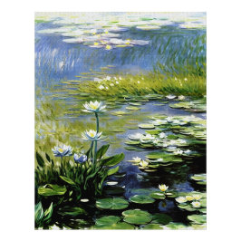 Impression Photo Fleurs d'Agapanthus luxuriantes à Giverny