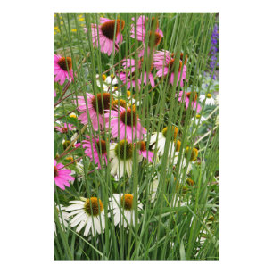 Impression Photo Fleurs de 24 x 36 po