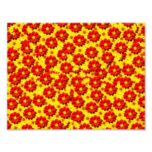 Impression Photo Fleurs de dahlia rouges et jaunes