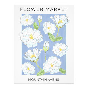Impression Photo Fleurs de marché Fleurs de montagne alpines blanch